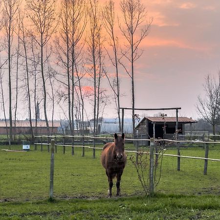 Agriturismo Al Botteniga Villa Treviso Luaran gambar