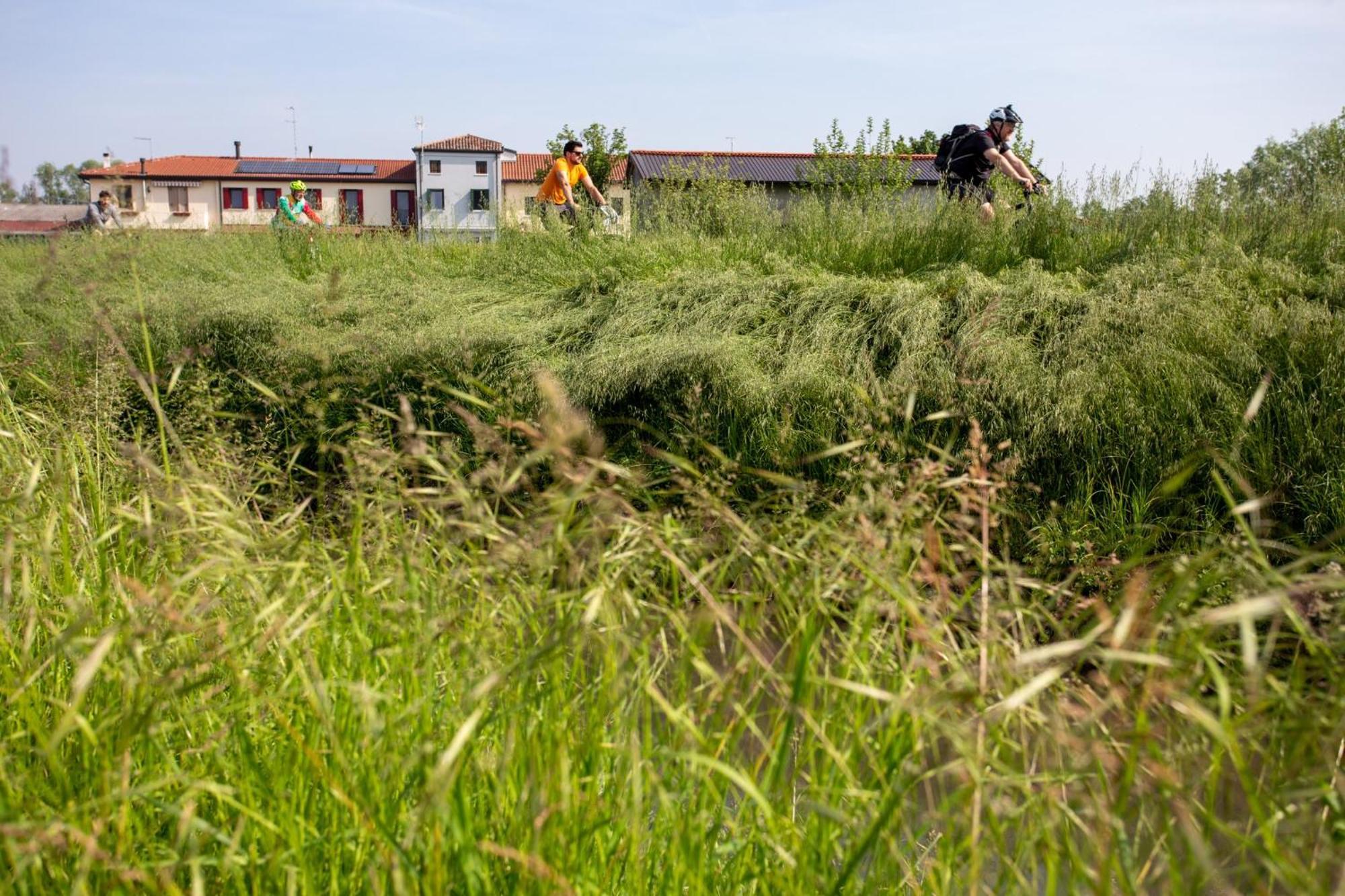 Agriturismo Al Botteniga Treviso Luaran gambar