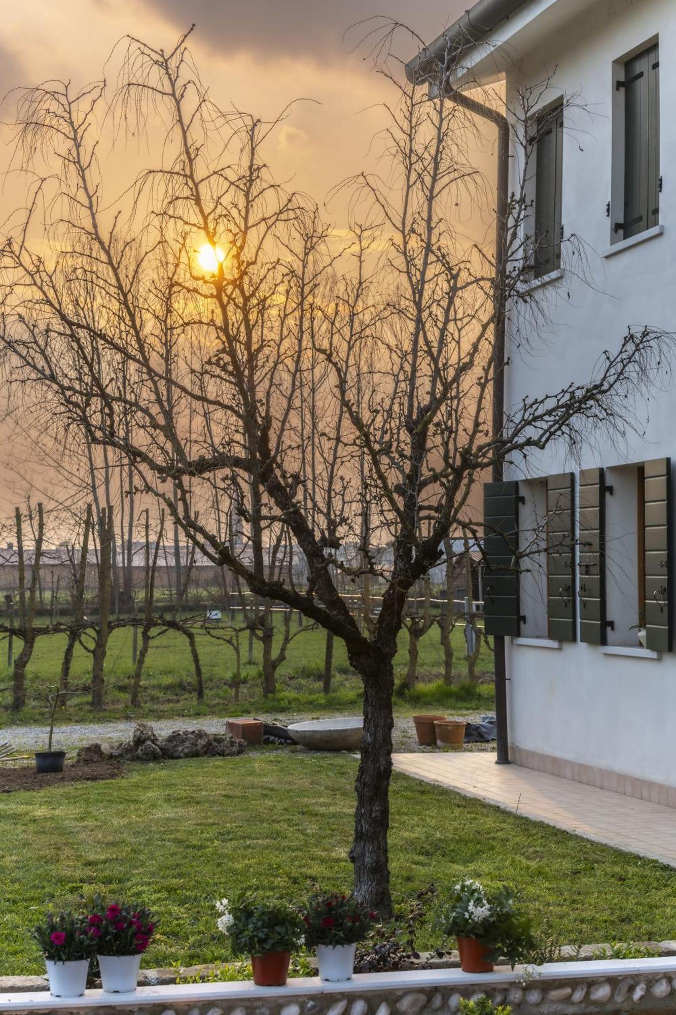 Agriturismo Al Botteniga Villa Treviso Luaran gambar