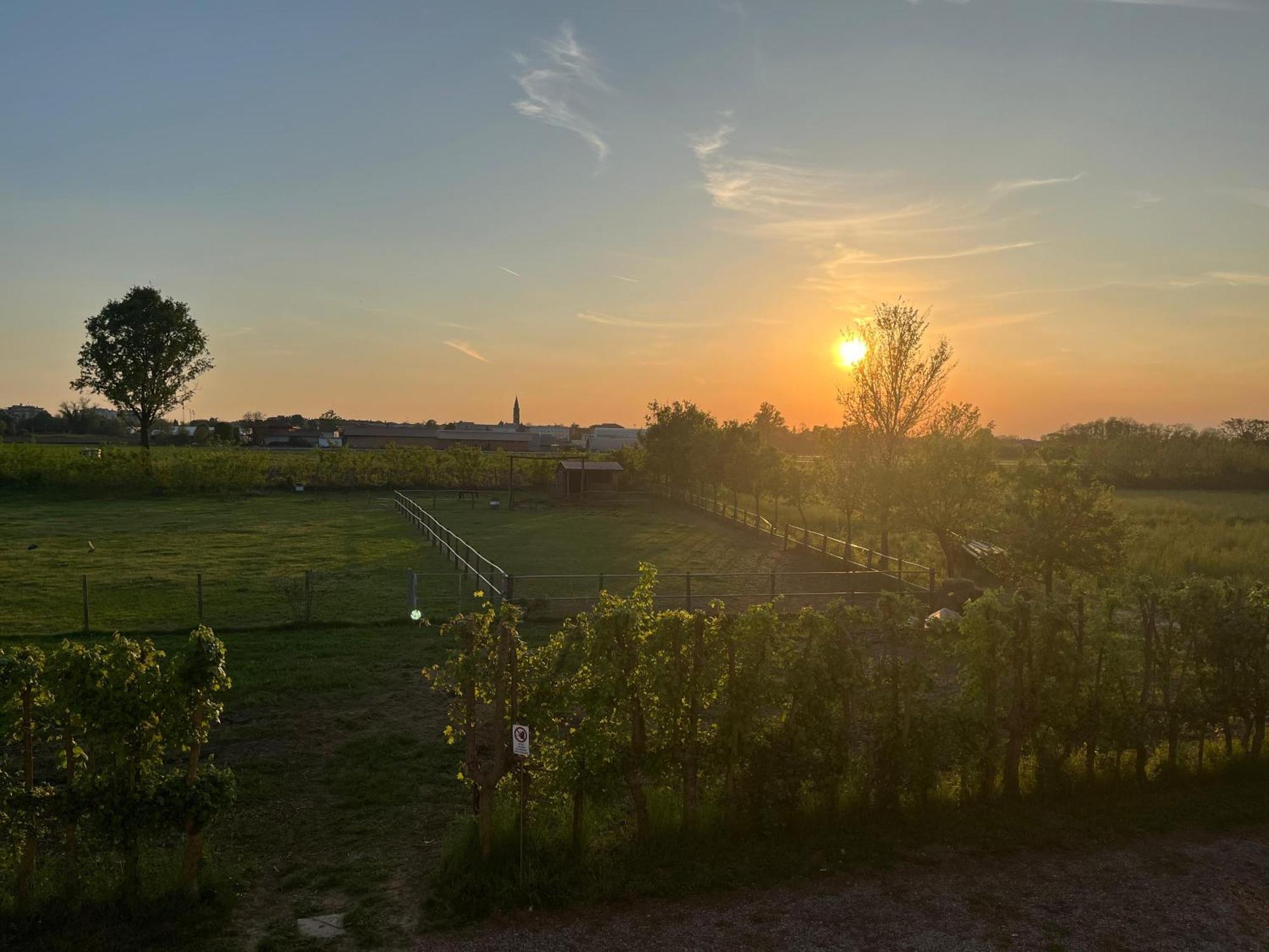 Agriturismo Al Botteniga Villa Treviso Luaran gambar