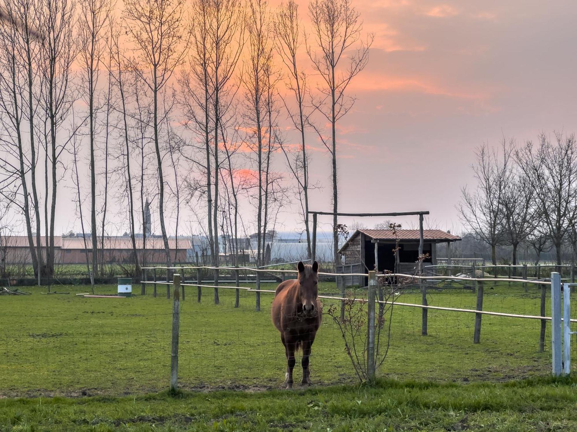 Agriturismo Al Botteniga Villa Treviso Luaran gambar